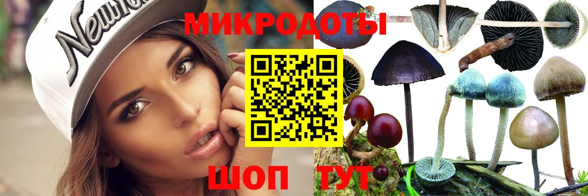 Курчатов  Галлюциногенные грибы мицелий  Вход с VPN 